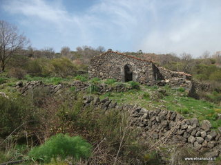 conco di Liricio-24-03-2013 10-14-44